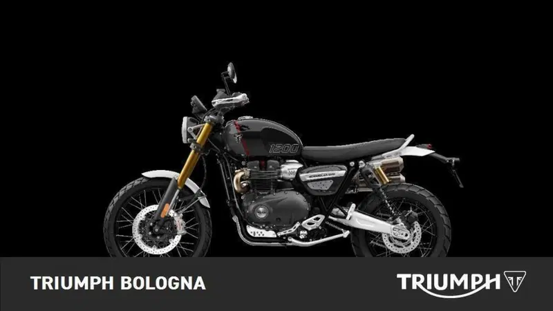 Triumph Scrambler 1200 XE (2024 - 25) (3)