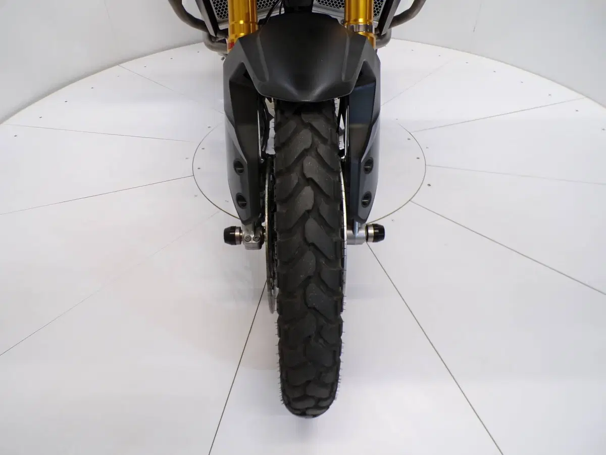 Triumph Tiger 900 Rally Pro (2020 - 23) (10)