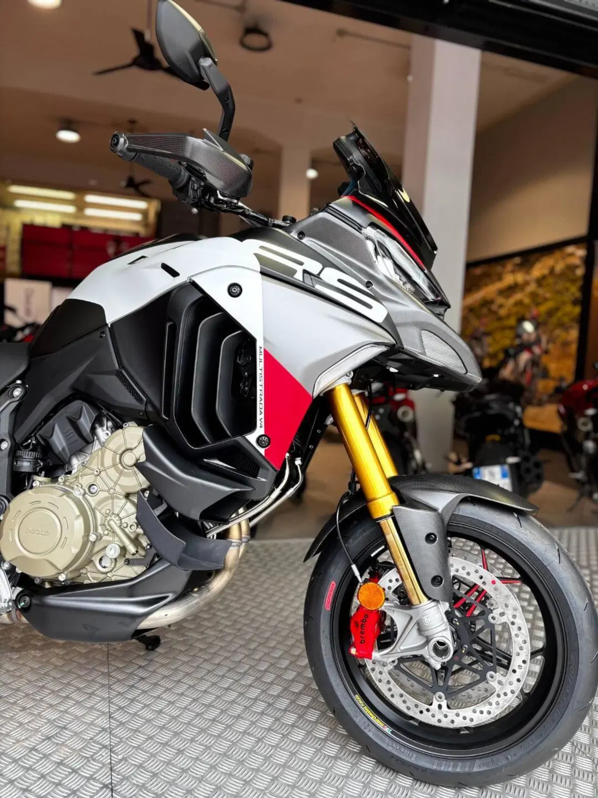 Ducati Multistrada V4 RS (2026) (3)
