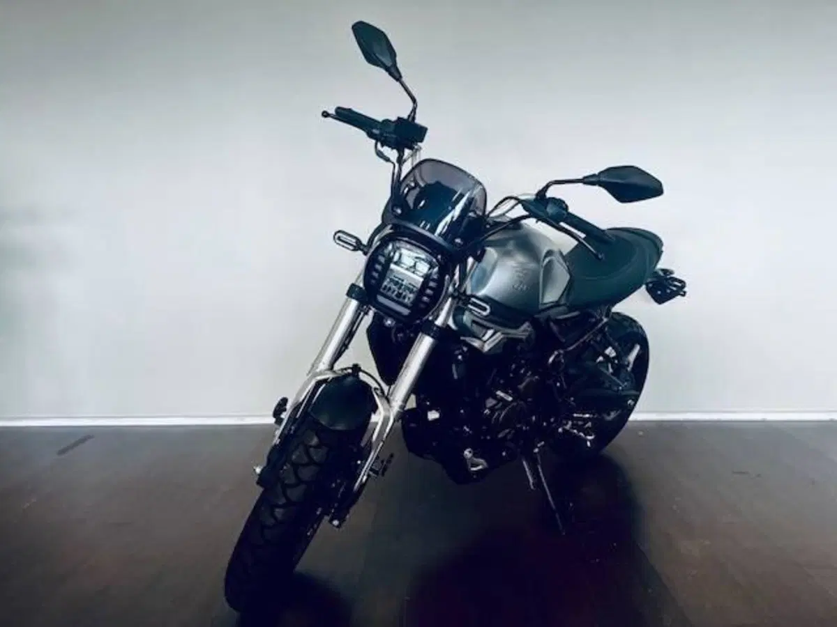 Voge Trofeo 300ACX Scrambler (2021 - 26) (2)