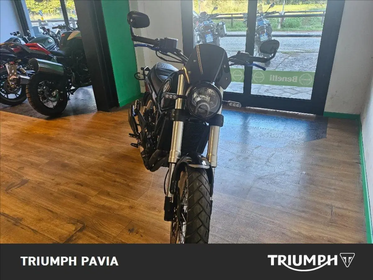 Benelli Leoncino 500 Trail (2021 - 26) (5)