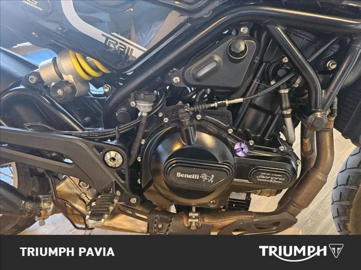 Benelli Leoncino 500 Trail (2021 - 26) (15)