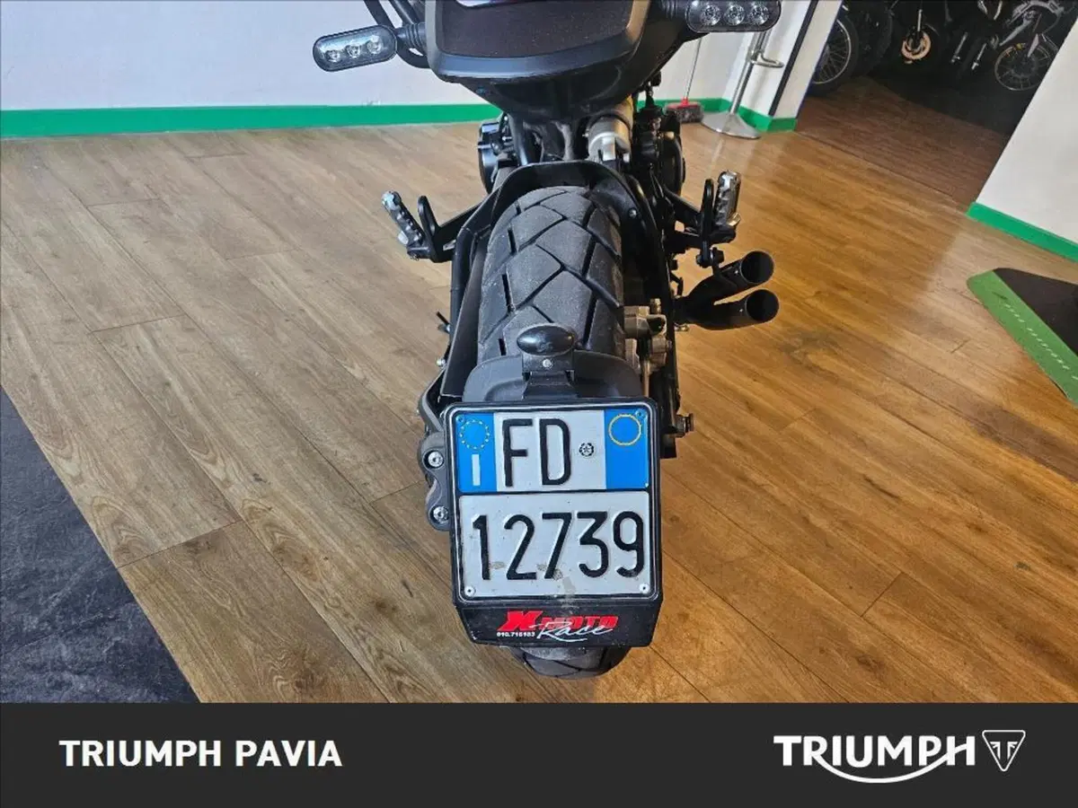 Benelli Leoncino 500 Trail (2021 - 26) (11)