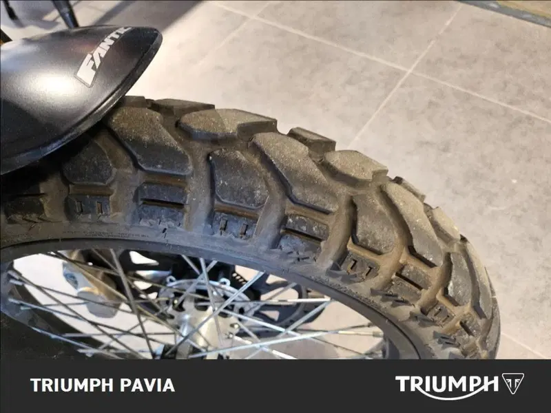 Fantic Motor Caballero 125 Scrambler (2021 - 23) (9)