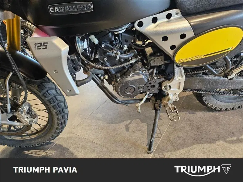 Fantic Motor Caballero 125 Scrambler (2021 - 23) (17)