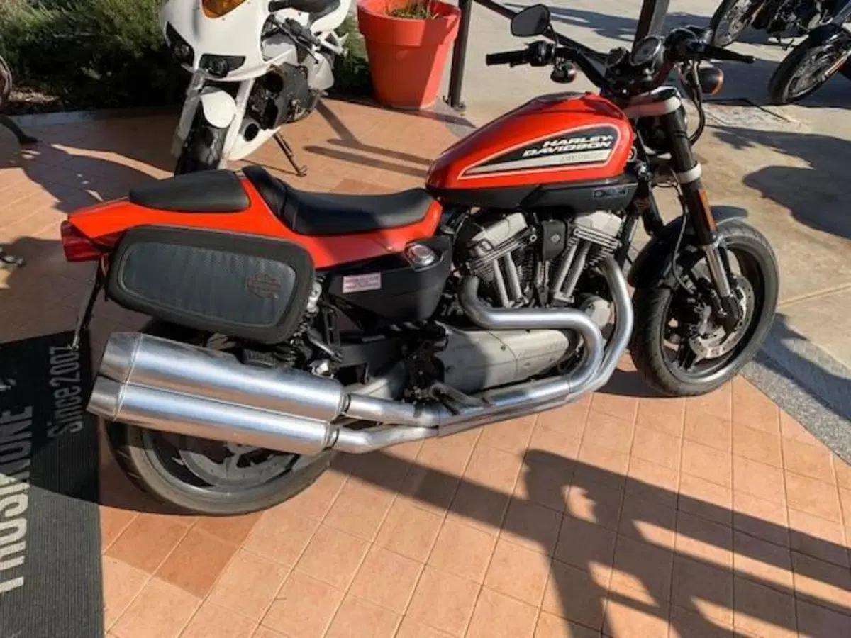 Harley-Davidson 1200 XR (2009 - 12) (5)