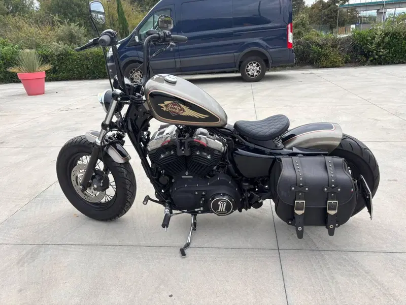 Harley-Davidson 1200 Forty-Eight (2010 - 15) (4)