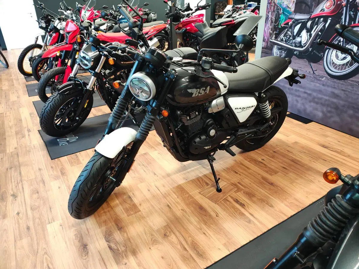 Bsa Bantam 350 (2025 - 26)