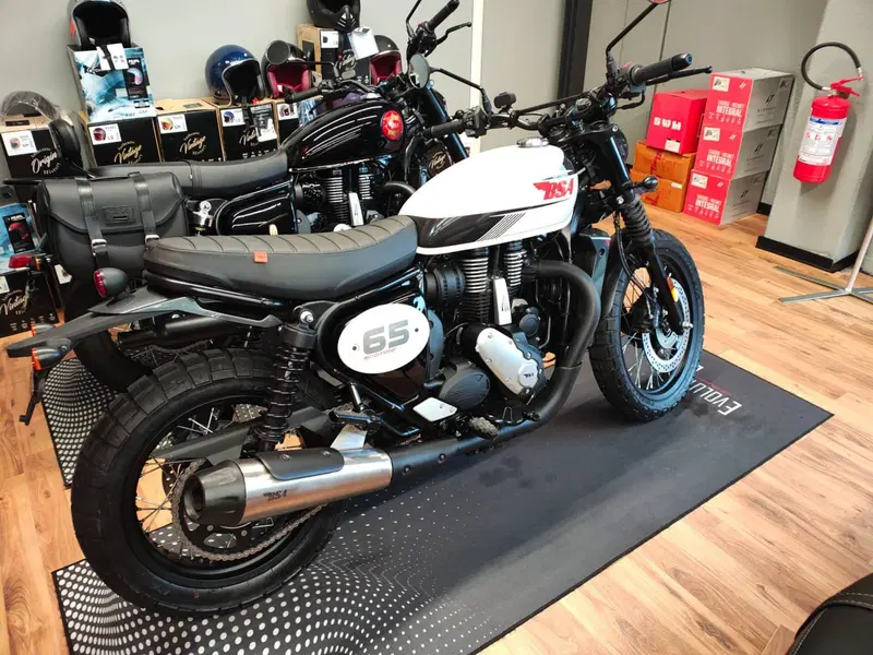 Bsa Scrambler 650 (2025 - 26) (3)