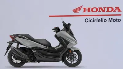 Honda Forza 350 (2022 - 24) nuova