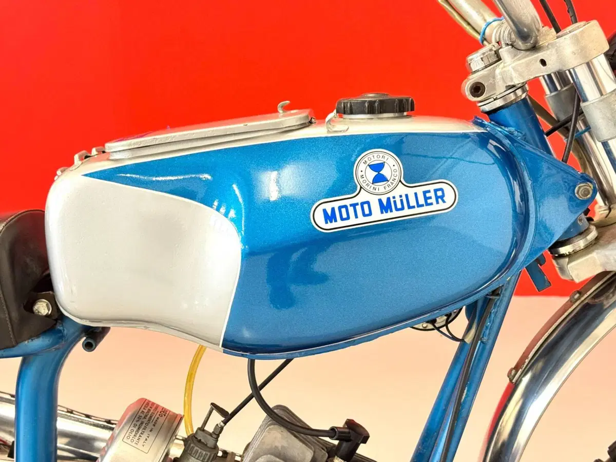 Muller 50 (10)