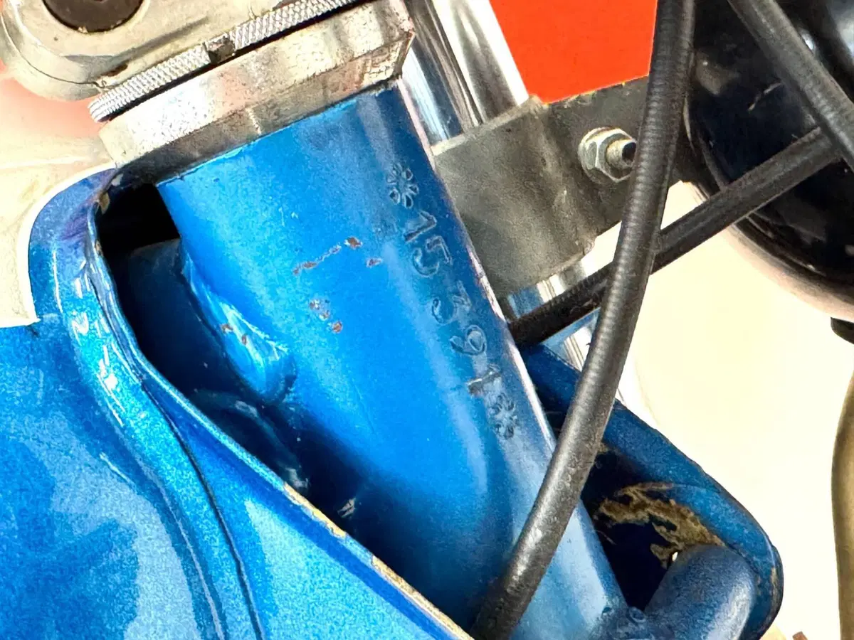 Muller 50 (12)