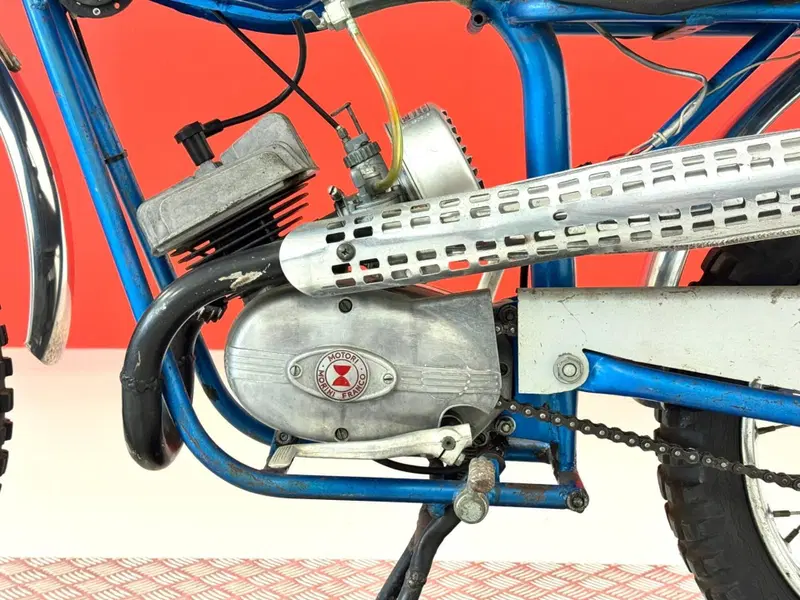 Muller 50 (16)