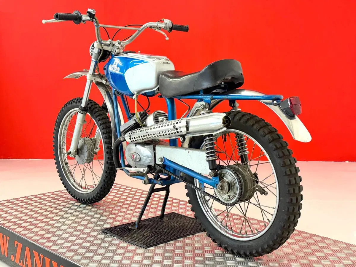Muller 50 (17)