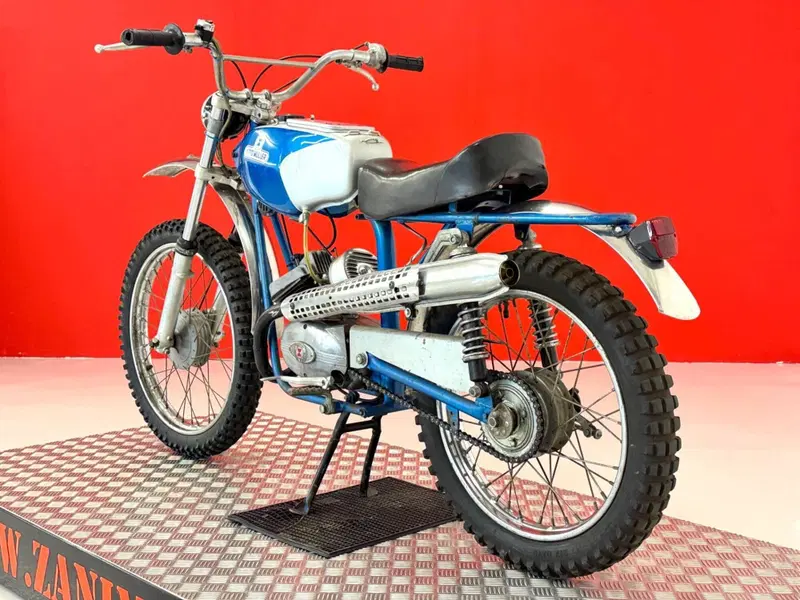 Muller 50 (17)