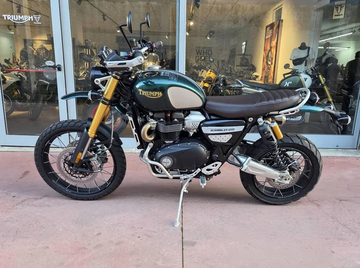 Triumph Scrambler 1200 Steve McQueen Edition (2021 - 22) (5)