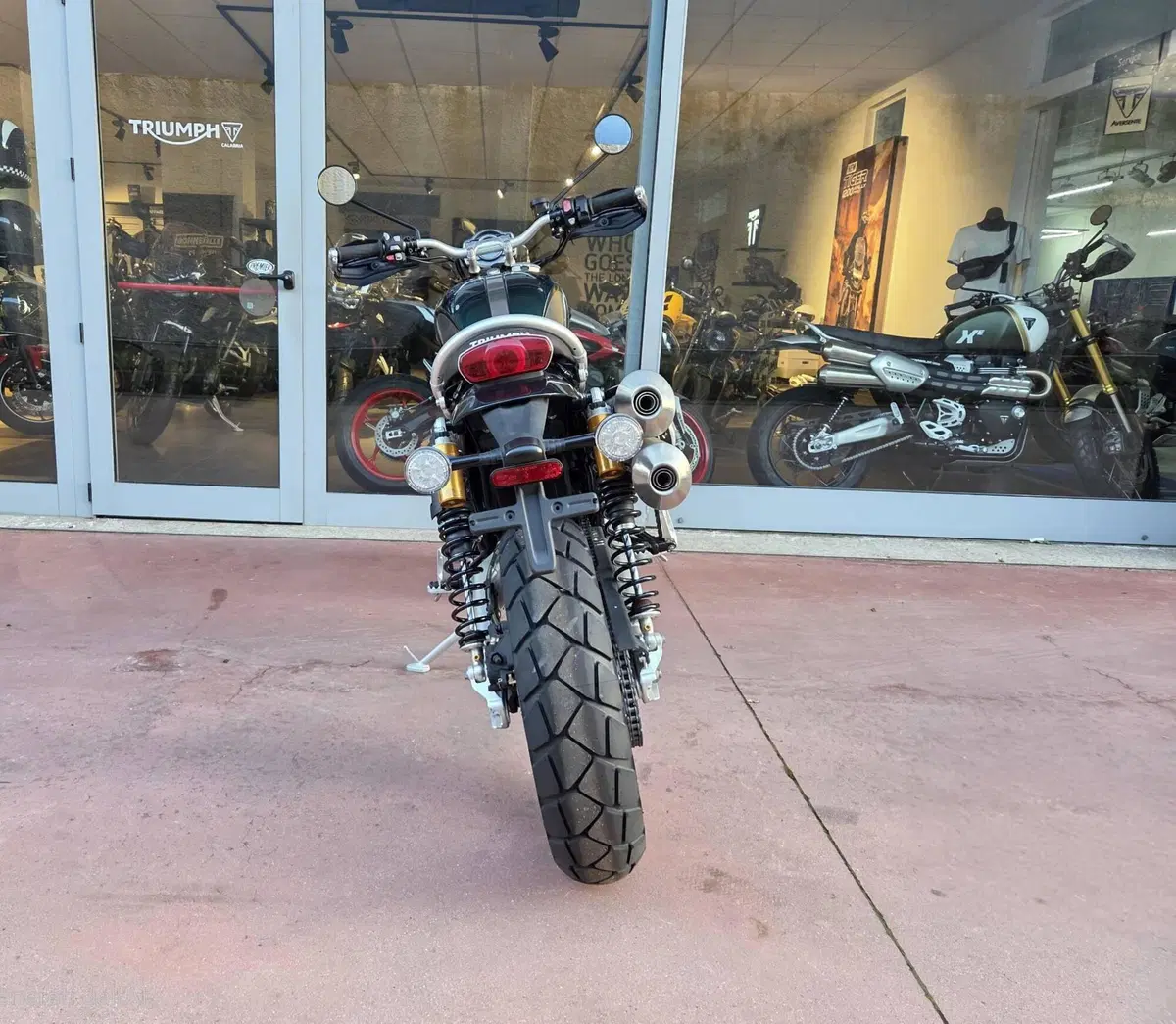 Triumph Scrambler 1200 Steve McQueen Edition (2021 - 22) (8)