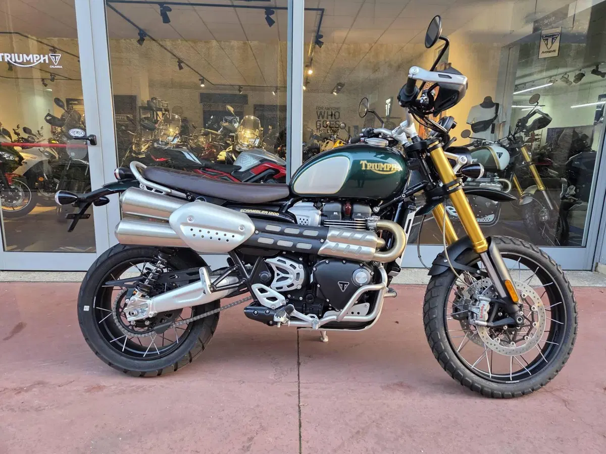 Triumph Scrambler 1200 Steve McQueen Edition (2021 - 22) (2)