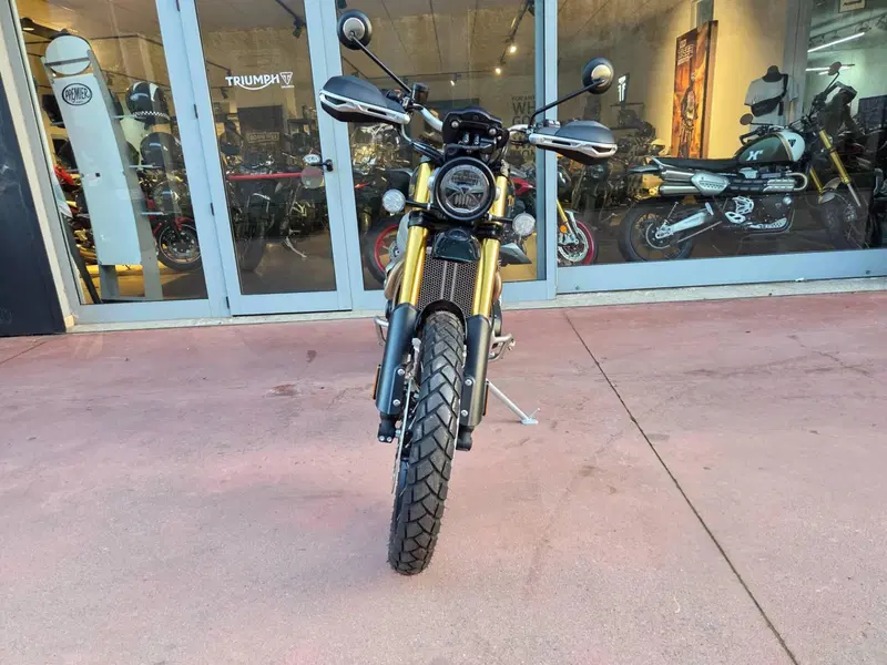 Triumph Scrambler 1200 Steve McQueen Edition (2021 - 22) (9)