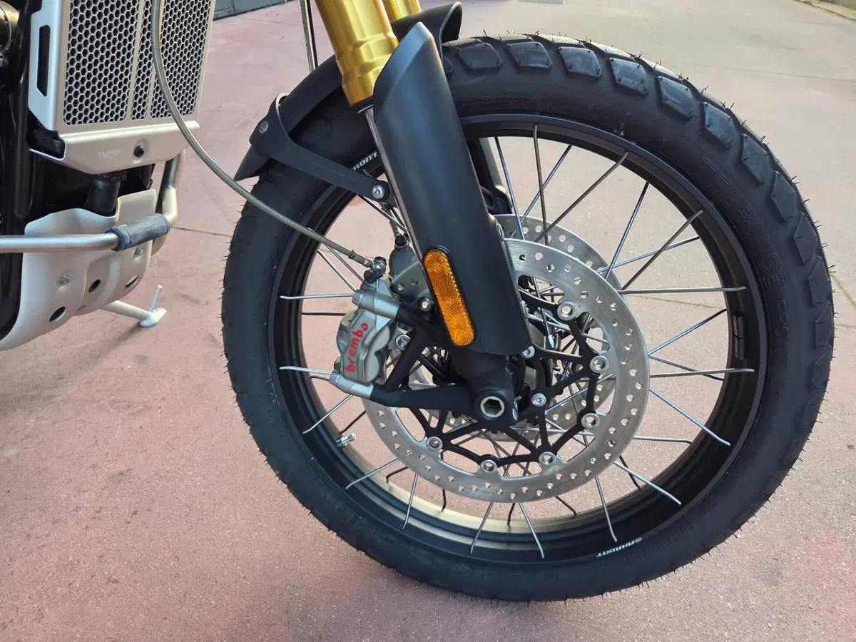 Triumph Scrambler 1200 Steve McQueen Edition (2021 - 22) (15)