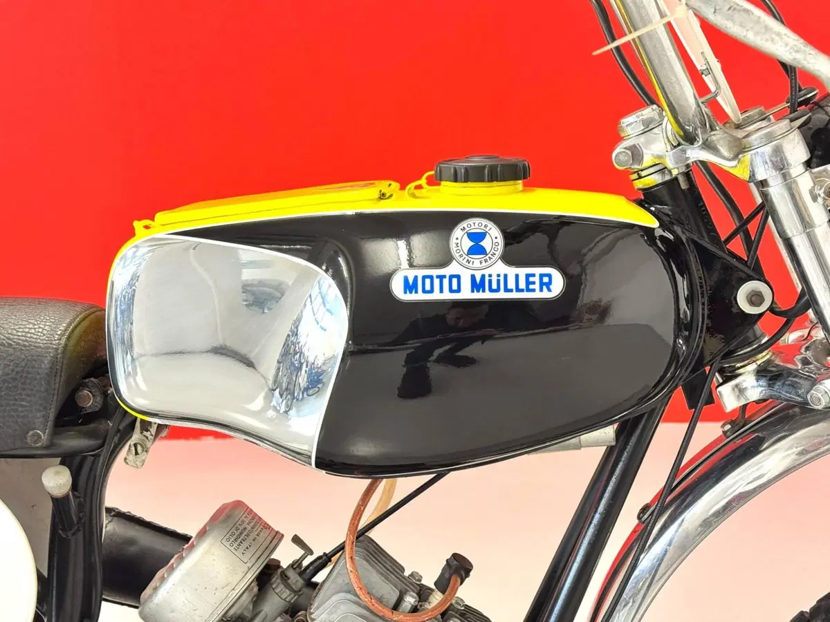 Muller 50 (10)