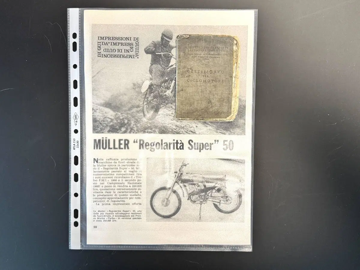 Muller 50 (18)