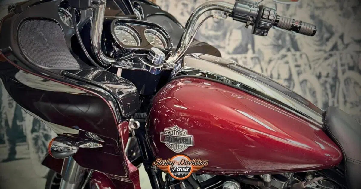 Harley-Davidson Road Glide Special (2021 - 23) (2)
