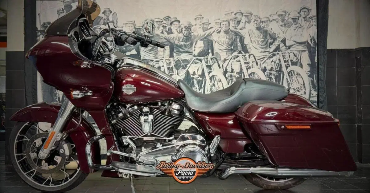 Harley-Davidson Road Glide Special (2021 - 23) (5)