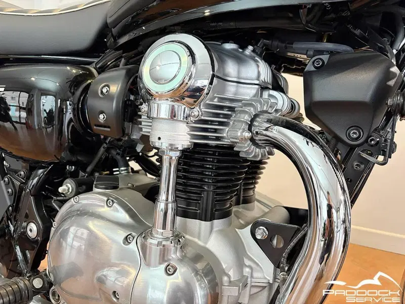 Kawasaki W 800 (2021 - 26) (5)