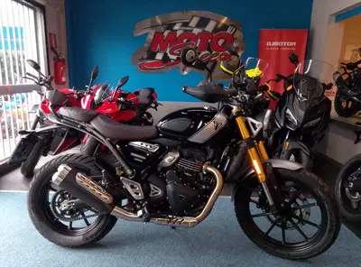 Triumph Scrambler 400 X (2024 - 26) usata