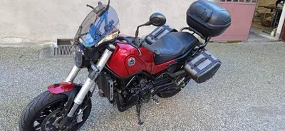 Benelli Leoncino 500 (2021 - 25) usata