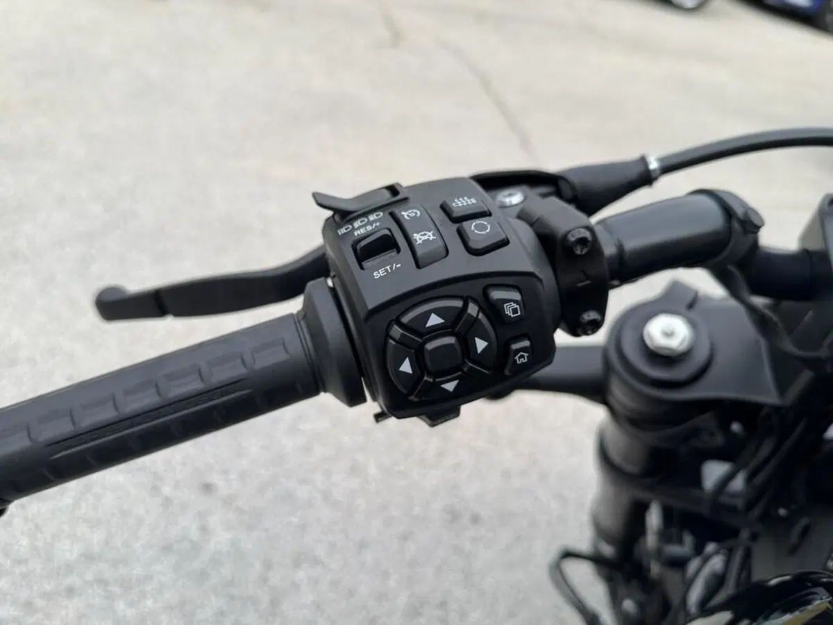 Harley-Davidson Sportster S (2022 - 24) (5)