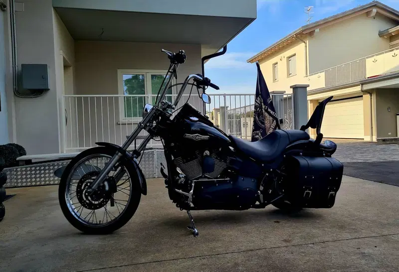 Harley-Davidson 1584 Night Train (2006 - 07) - FXSTB (2)