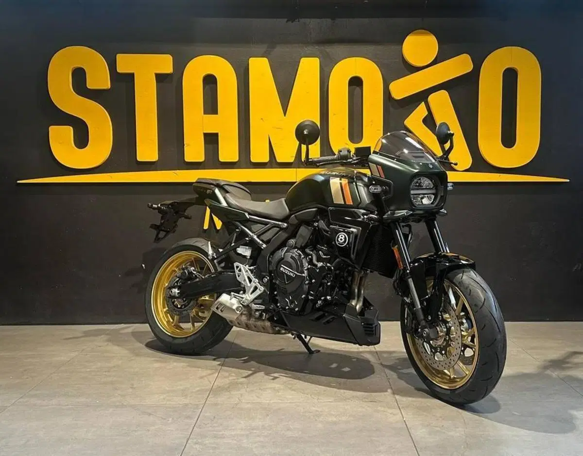 Suzuki GSX-8TT (2025 - 26) (2)