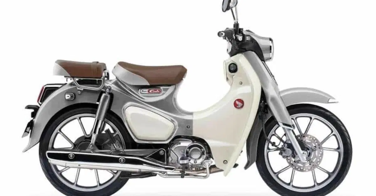 Honda Super Cub C125 2026: una nuova livrea bicolore per una icona eterna