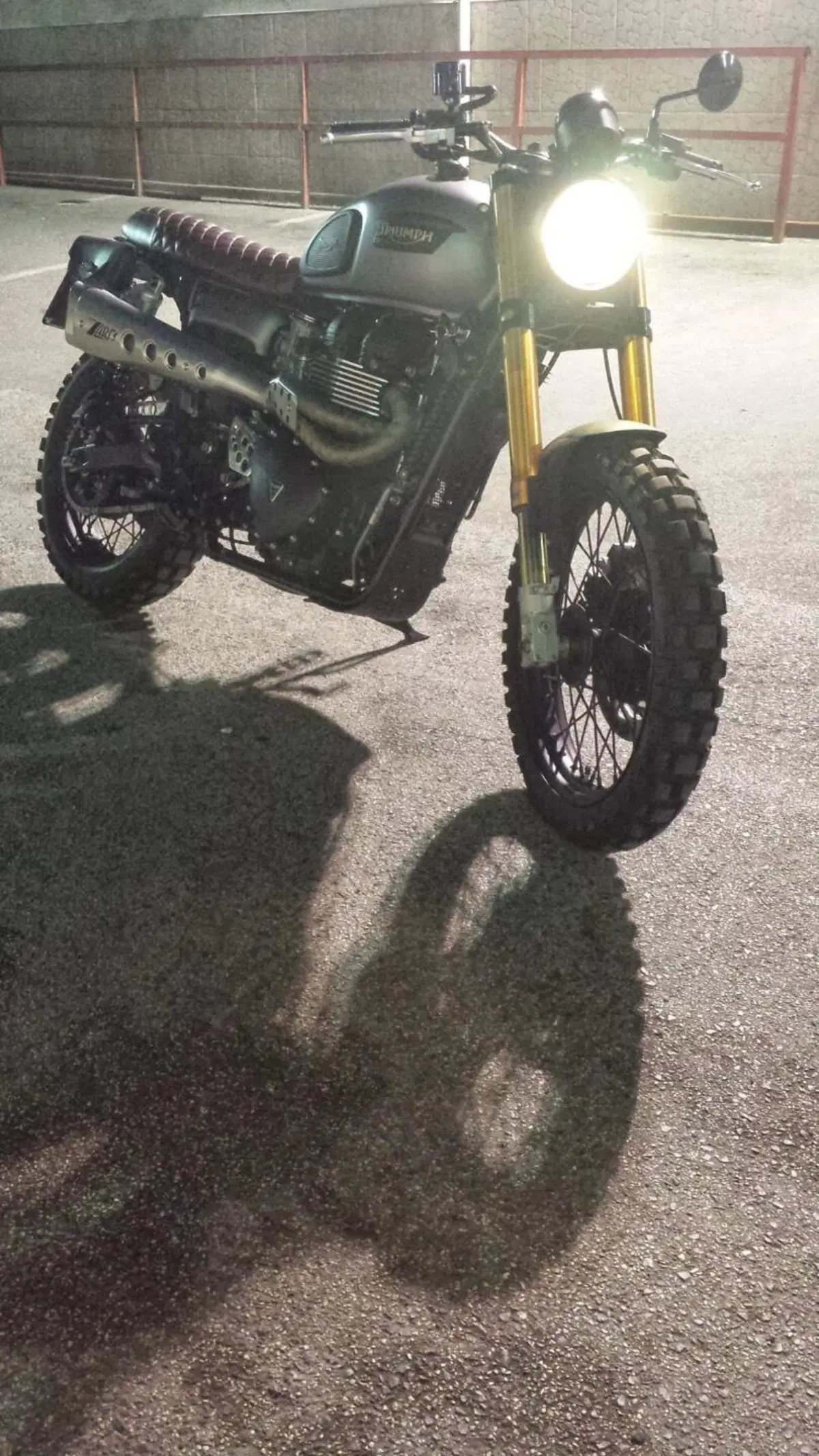 Triumph Scrambler 900 (2023 - 25) (2)