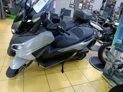 Honda Forza 350 (2022 - 24) usata