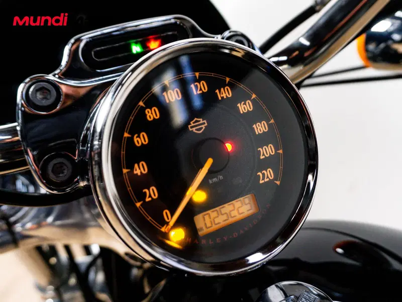 Harley-Davidson XL 1200 CX Roadster (2016 - 18) (10)