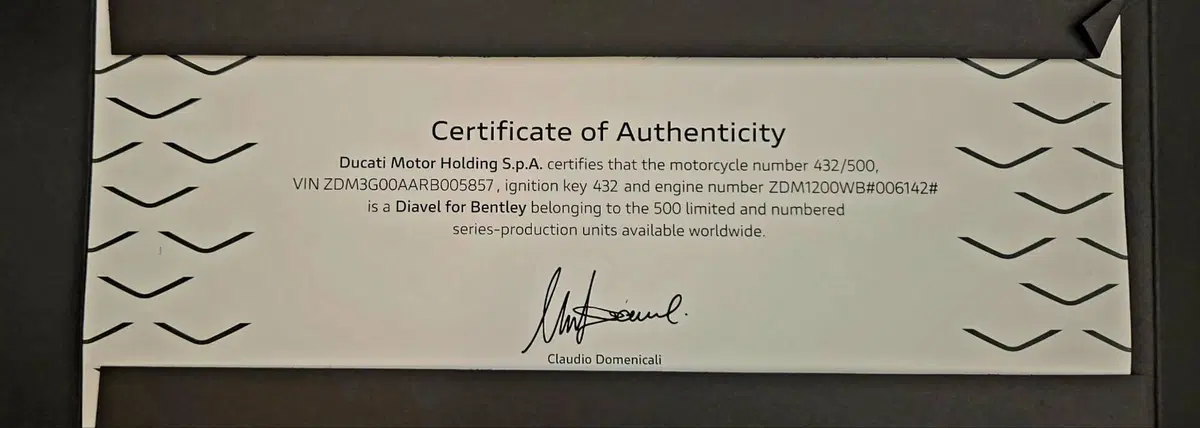 Ducati Diavel for Bentley (2024) (20)