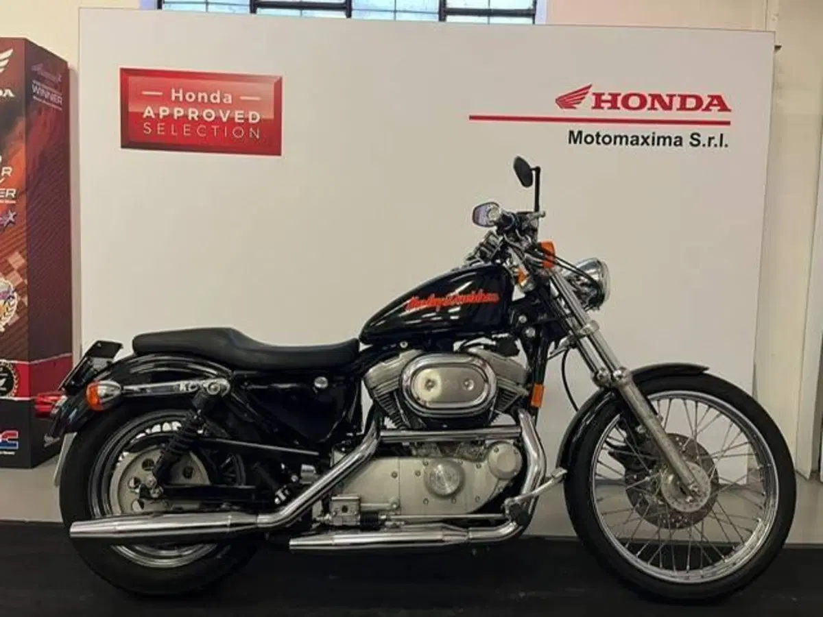 Harley-Davidson 883 Custom (1998 - 00) - XL 53C