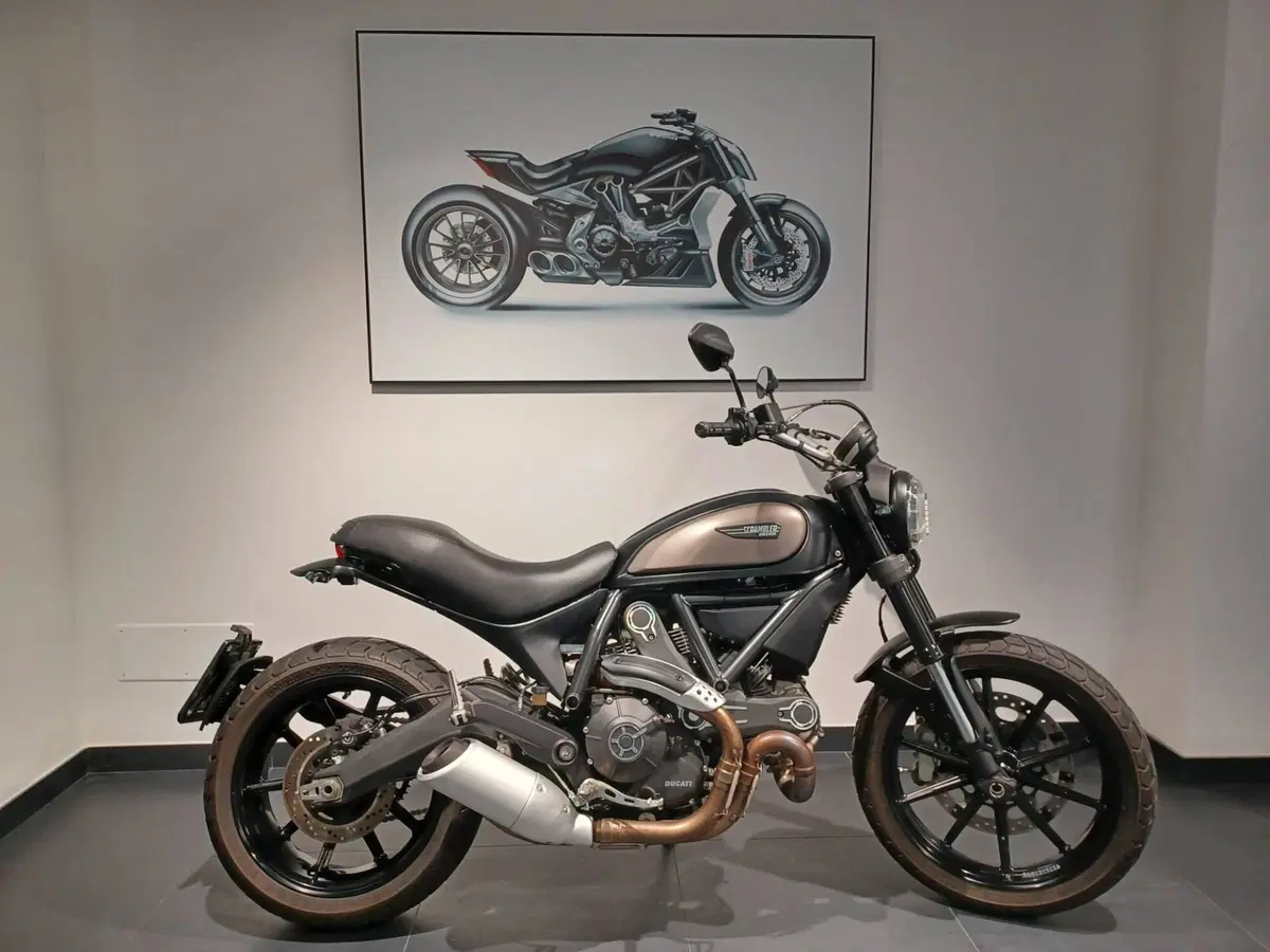 Ducati Scrambler 800 Icon (2015 - 16)