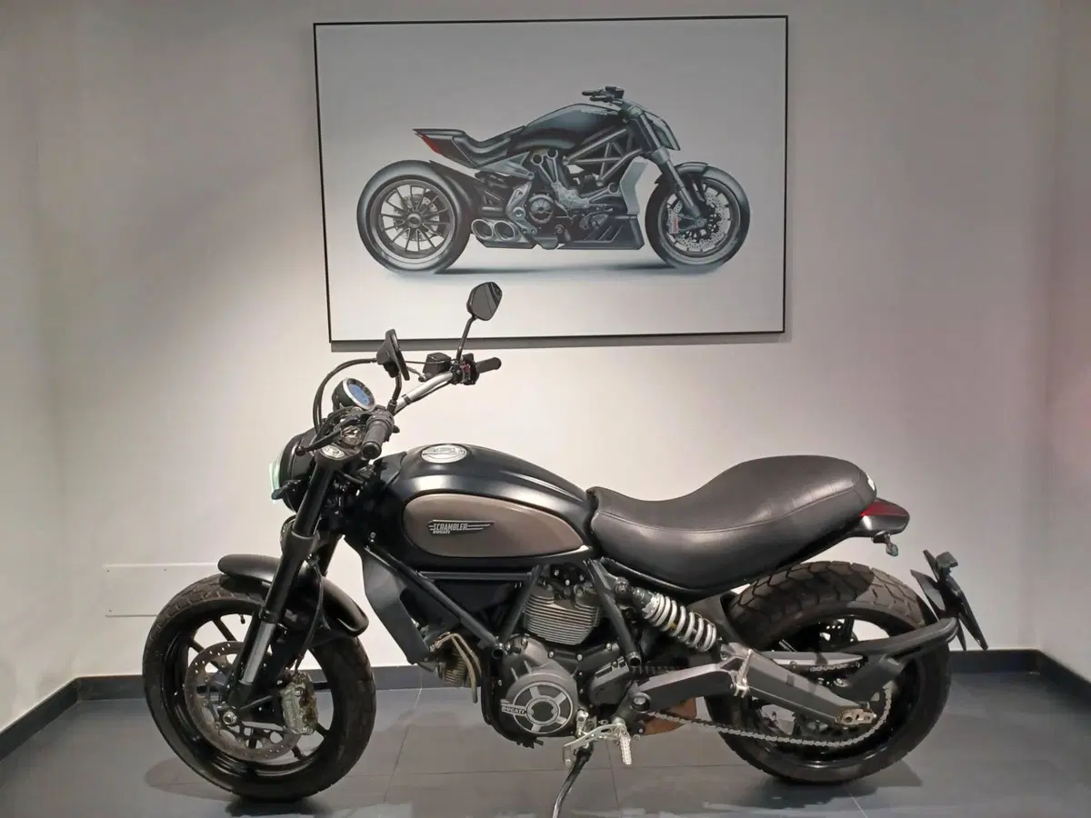 Ducati Scrambler 800 Icon (2015 - 16) (2)