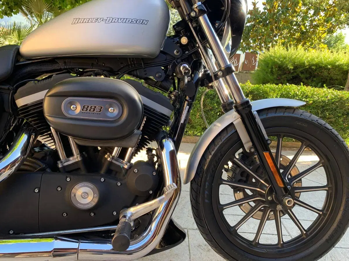 Harley-Davidson 883 Iron (2009 - 11) - XL 883N (4)