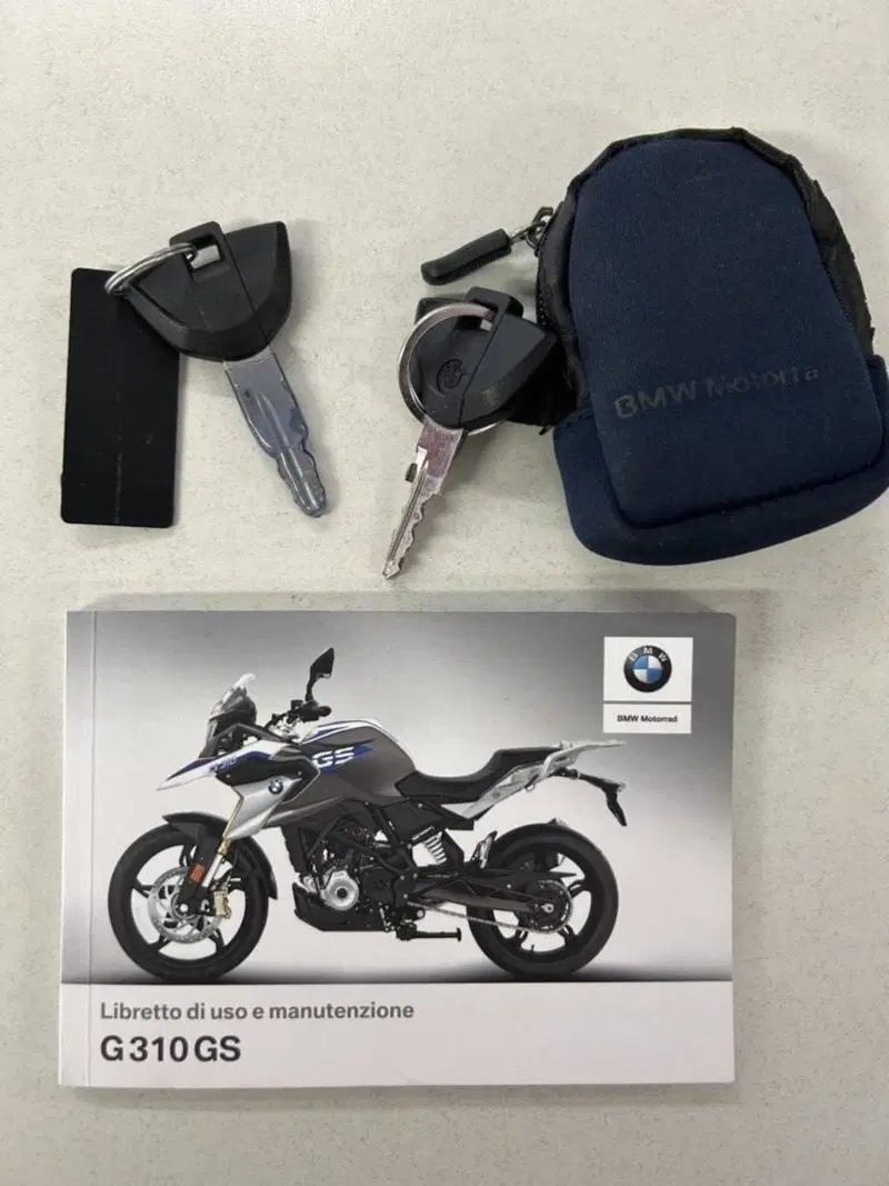 Bmw G 310 GS (2017 - 20) (15)
