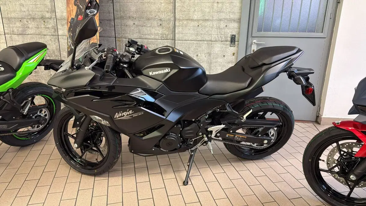 Kawasaki Ninja 500 (2024 - 26)