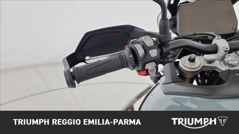 Triumph Tiger 900 Desert Special Edition (2026) (11)