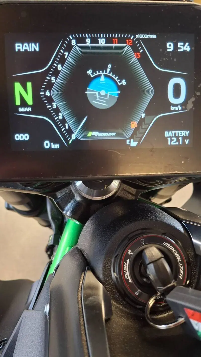 Kawasaki Z 900 (2025 - 26) (7)