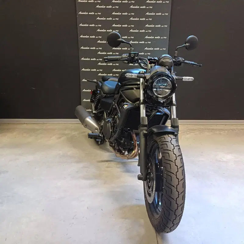 Kawasaki Eliminator 500 (2024 - 26) (3)
