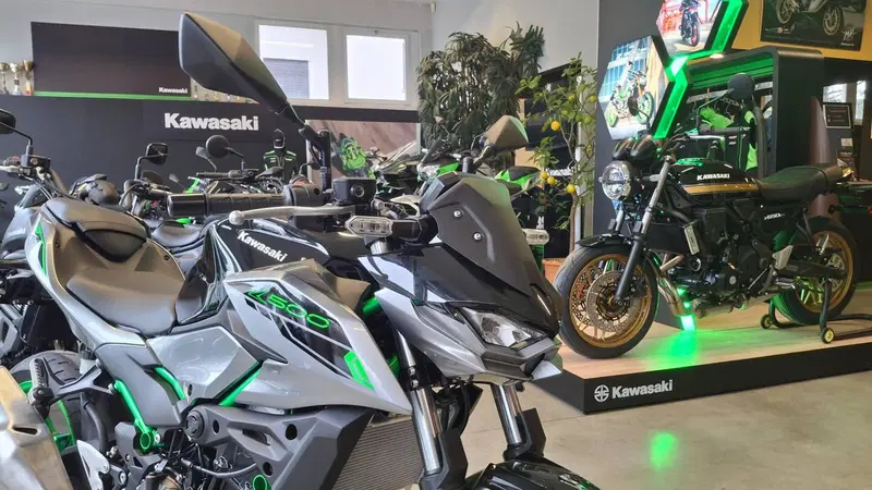 Kawasaki Z 500 SE (2024 - 26) (3)