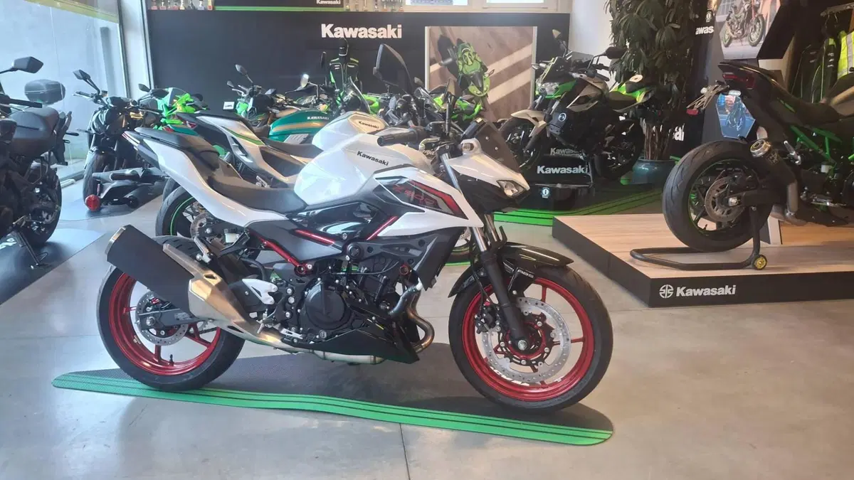 Kawasaki Z 500 SE (2024 - 26)